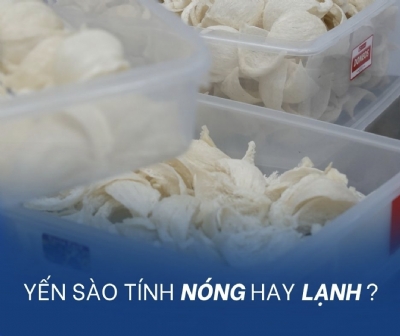 Yến Sào Tính Nóng Hay Lạnh ?